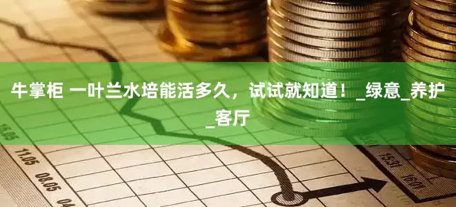 牛掌柜 一叶兰水培能活多久，试试就知道！_绿意_养护_客厅